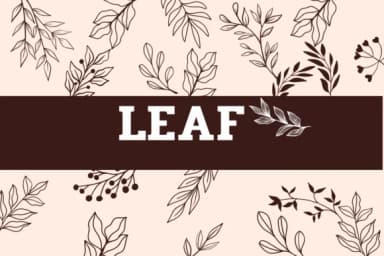 Leaf by Sirinart — Dingbats Font — thumbnail 1