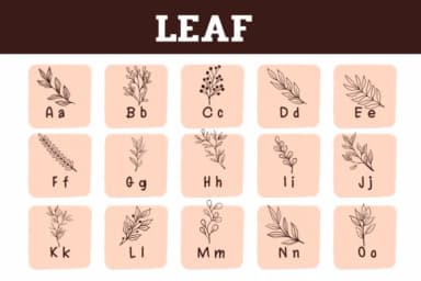 Leaf by Sirinart — Dingbats Font — thumbnail 2