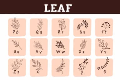 Leaf by Sirinart — Dingbats Font — thumbnail 3