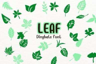Leaf by Nongyao — Dingbats Font — thumbnail 1