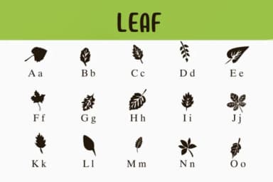 Leaf by Nongyao — Dingbats Font — thumbnail 2
