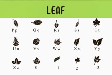 Leaf by Nongyao — Dingbats Font — thumbnail 3