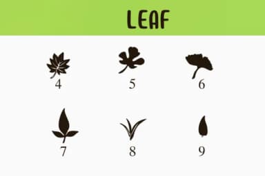 Leaf by Nongyao — Dingbats Font — thumbnail 4