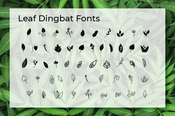 Leaf by Ciriative — Dingbats Font