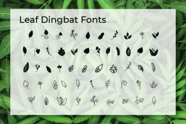Leaf by Ciriative — Dingbats Font — thumbnail 3