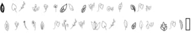 Leaf by Ciriative — Dingbats Font — thumbnail 5