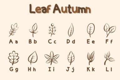 Leaf Autumn by Chonada — Dingbats Font — thumbnail 2