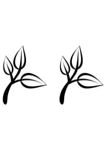 Leaf Autumn by Chonada — Dingbats Font — thumbnail 7