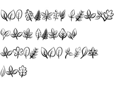 Leaf Autumn by Chonada — Dingbats Font — thumbnail 8