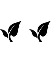 Leaf Icon by Ketsarin — Dingbats Font — thumbnail 8