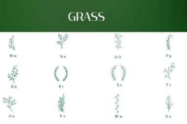 Leaf Line Art by Heartcraft Atelier — Dingbats Font — thumbnail 3