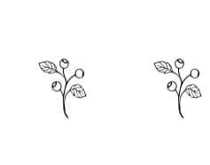 Leaf &amp; Loom by Happy Bamboo — Dingbats Font — thumbnail 4