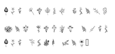 Leaf &amp; Loom by Happy Bamboo — Dingbats Font — thumbnail 5