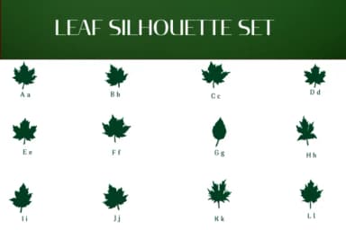 Leaf Silhouette Set by Heartcraft Atelier — Dingbats Font — thumbnail 2