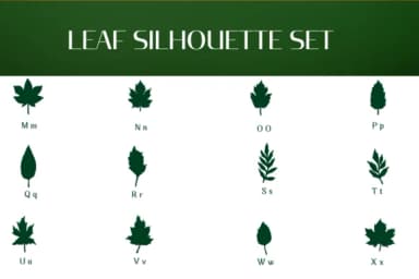 Leaf Silhouette Set by Heartcraft Atelier — Dingbats Font — thumbnail 3