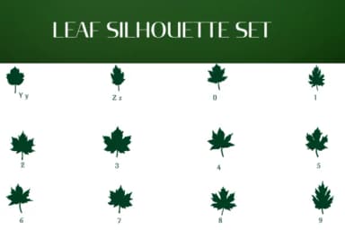 Leaf Silhouette Set by Heartcraft Atelier — Dingbats Font — thumbnail 4