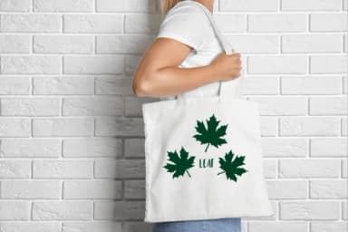 Leaf Silhouette Set by Heartcraft Atelier — Dingbats Font — thumbnail 6