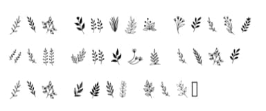 Leafglyphs by Happy Bamboo — Dingbats Font — thumbnail 5