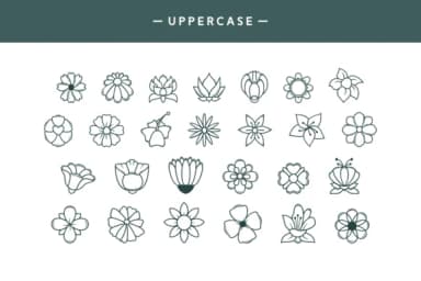 Leafs by Dito (7NTypes) — Dingbats Font — thumbnail 2