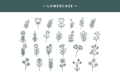 Leafs by Dito (7NTypes) — Dingbats Font — thumbnail 3