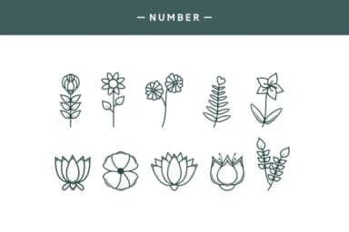 Leafs by Dito (7NTypes) — Dingbats Font — thumbnail 4