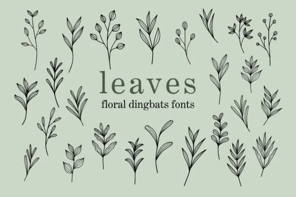 Leaves by Eystore — Dingbats Font