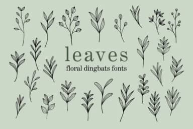 Leaves by Eystore — Dingbats Font — thumbnail 1
