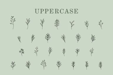 Leaves by Eystore — Dingbats Font — thumbnail 2