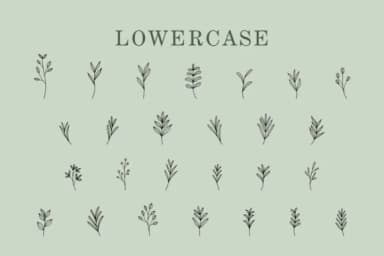 Leaves by Eystore — Dingbats Font — thumbnail 3