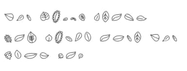 Leaves by Miss Tiina — Dingbats Font — thumbnail 3