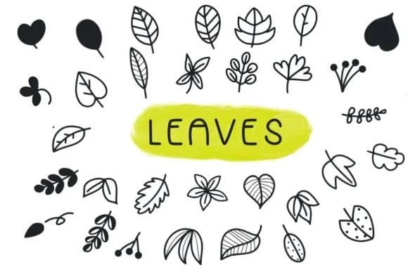 Leaves by Foam-Design Store — Dingbats Font