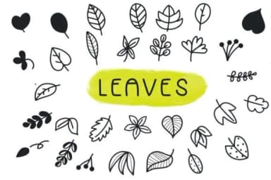 Leaves by Foam-Design Store — Dingbats Font — thumbnail 1