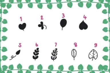 Leaves by Foam-Design Store — Dingbats Font — thumbnail 3