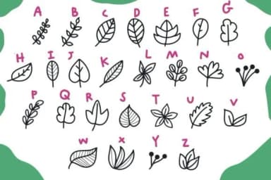 Leaves by Foam-Design Store — Dingbats Font — thumbnail 4