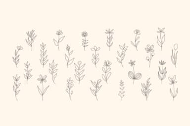 Leaves Garden by Intype Studio — Dingbats Font — thumbnail 2