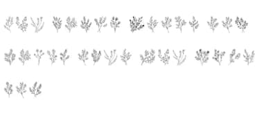Leaves of Memories by MOMAT THIRTYONE — Dingbats Font — thumbnail 6