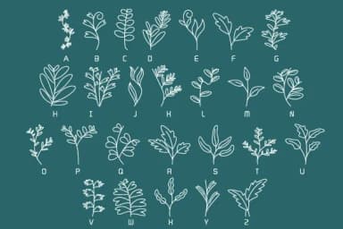 Leavy Leaf by DesignFour — Dingbats Font — thumbnail 2