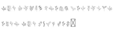 Leavy Leaf by DesignFour — Dingbats Font — thumbnail 4