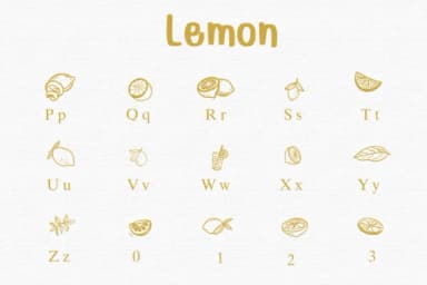 Lemon by Sontaya — Dingbats Font — thumbnail 3
