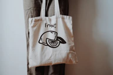 Lemon by Sontaya — Dingbats Font — thumbnail 5