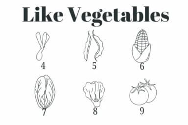 Like Vegetables by Suphitchaya — Dingbats Font — thumbnail 4