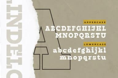 Lindelof by Drizy Studio — Slab Serif Font — thumbnail 2