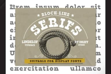 Lindelof by Drizy Studio — Slab Serif Font — thumbnail 4