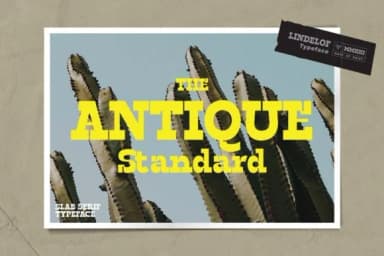 Lindelof by Drizy Studio — Slab Serif Font — thumbnail 6