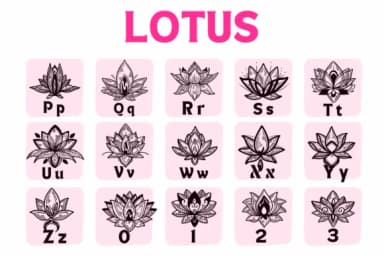 Lotus by Suphitchaya — Dingbats Font — thumbnail 3