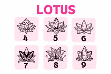 Lotus by Suphitchaya — Dingbats Font — thumbnail 4
