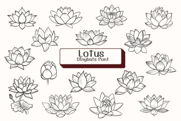 Lotus by Ketsarin — Dingbats Font