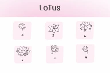 Lotus by Ketsarin — Dingbats Font — thumbnail 3