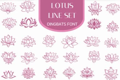 Lotus Line Set by Heartcraft Atelier — Dingbats Font — thumbnail 1