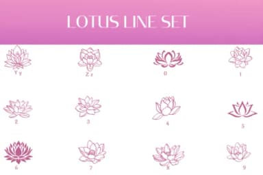 Lotus Line Set by Heartcraft Atelier — Dingbats Font — thumbnail 4